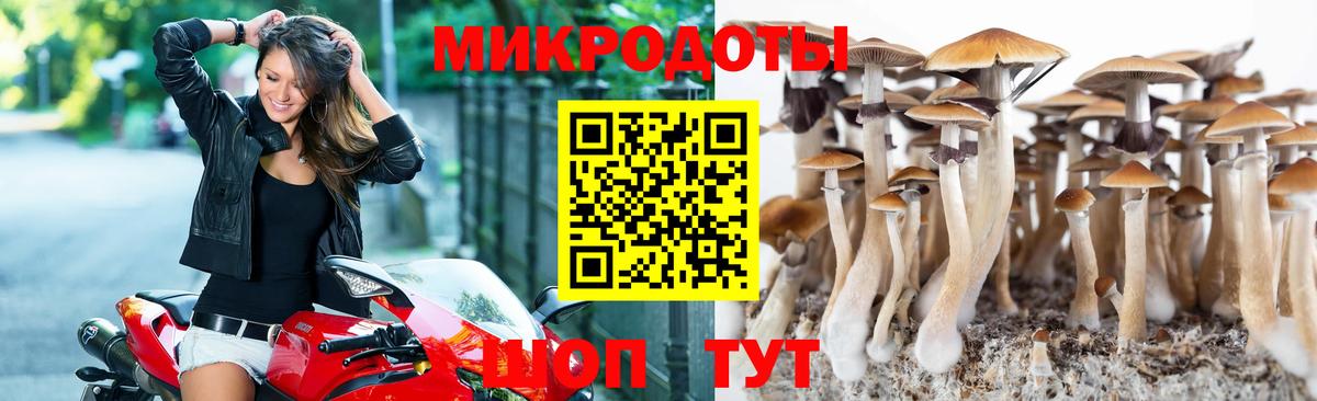 Галлюциногенные грибы мицелий Нововоронеж